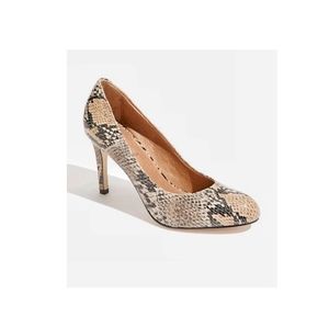 🌸Corso Como | Snakeskin‎ Pumps size 10
